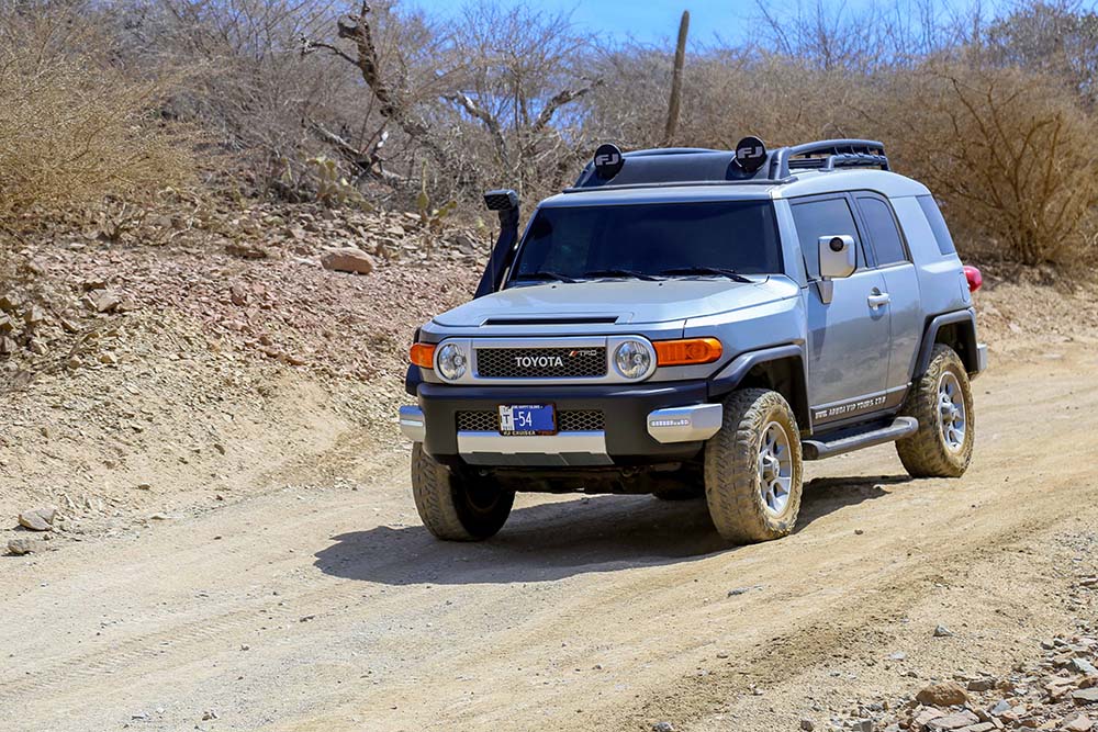 Aruba Vip Private Tour - Eight Hour Tour